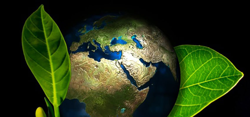 Dia do Conservacionismo