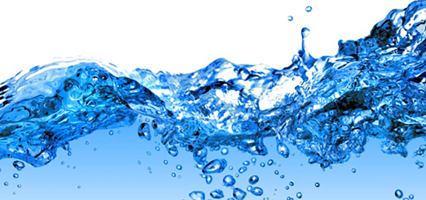 Dia Mundial da Água