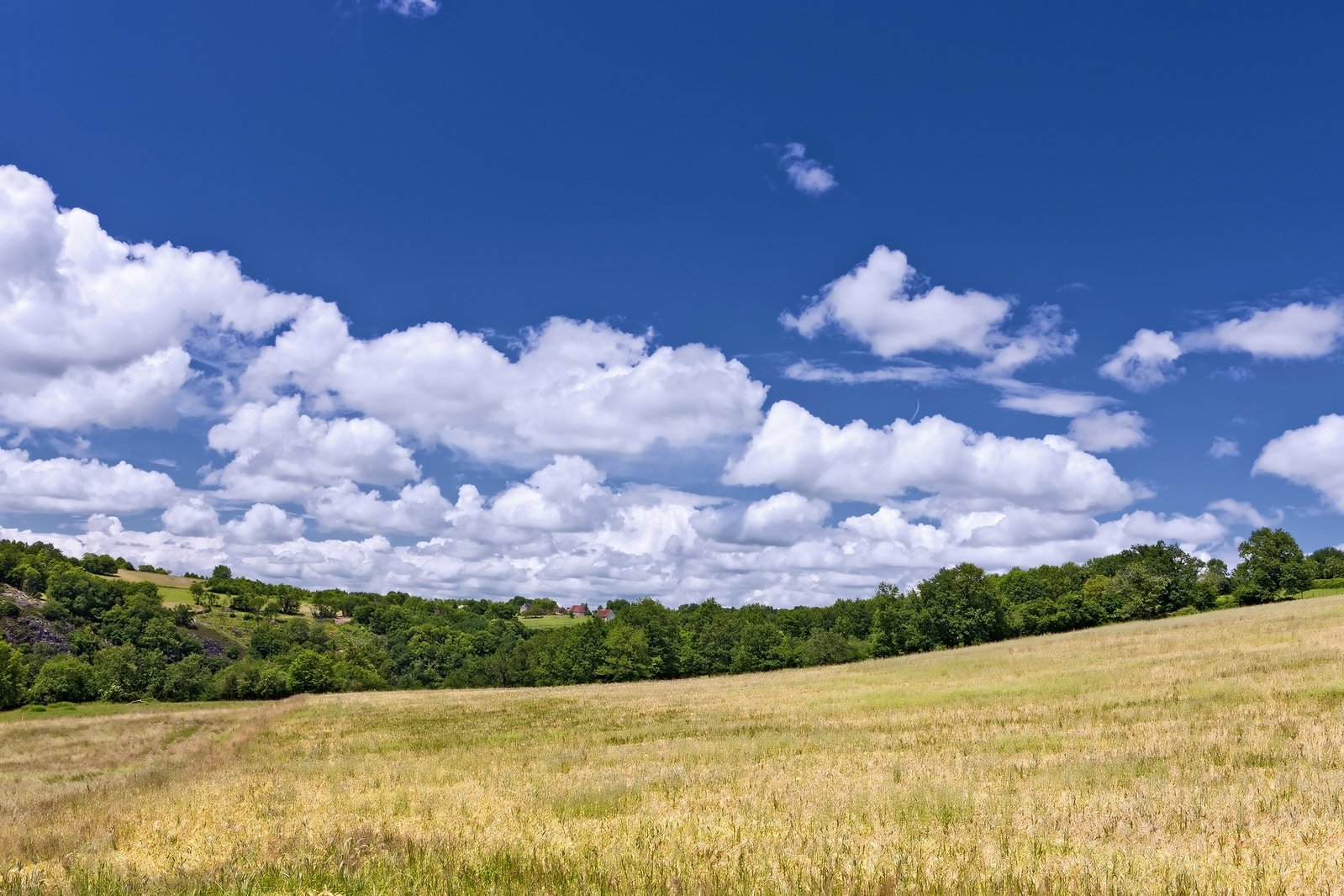 Dia do Estatuto da Terra