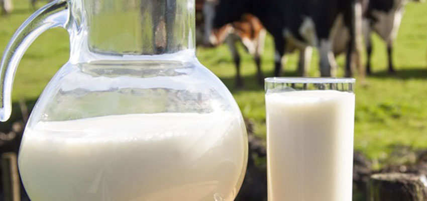 Dia Internacional do Leite