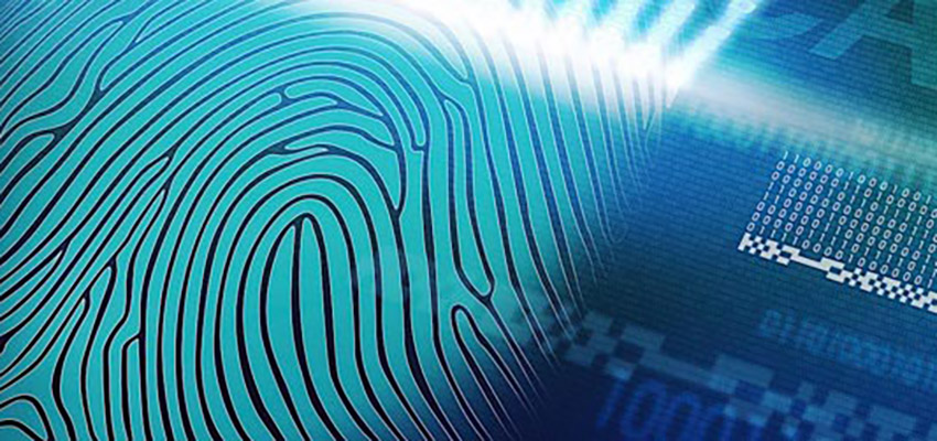 Dia do Datiloscopista