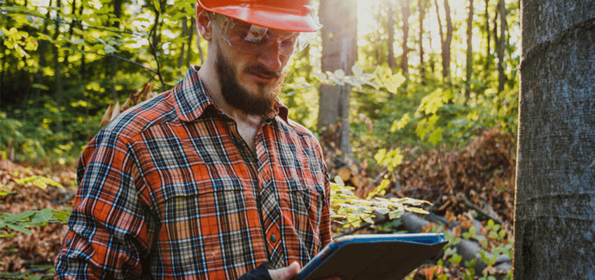 Dia do Engenheiro Florestal