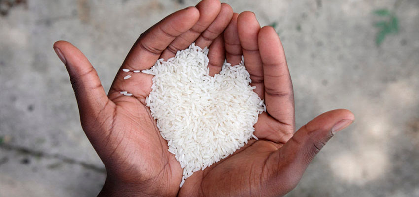 Dia da Campanha do Quilo