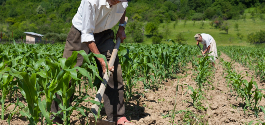 Dia do Trabalhador Rural