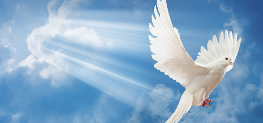 Dia do Espírito Santo