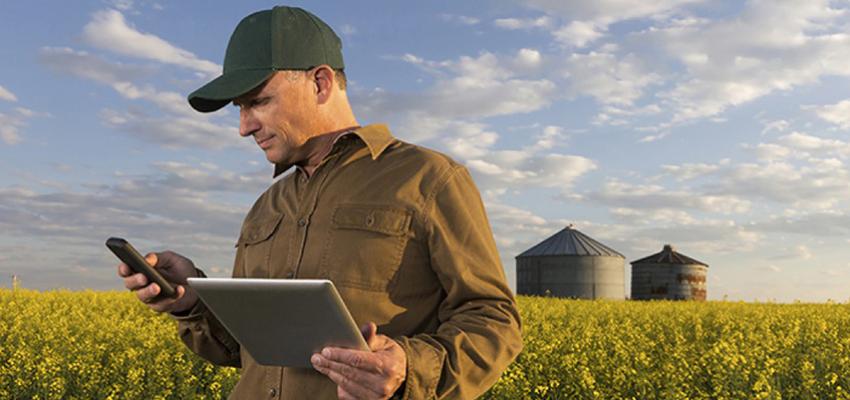 Dia do Engenheiro Agrônomo